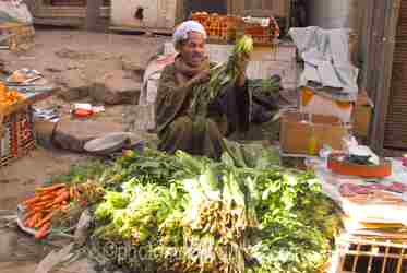 Egyptian Market People gallery