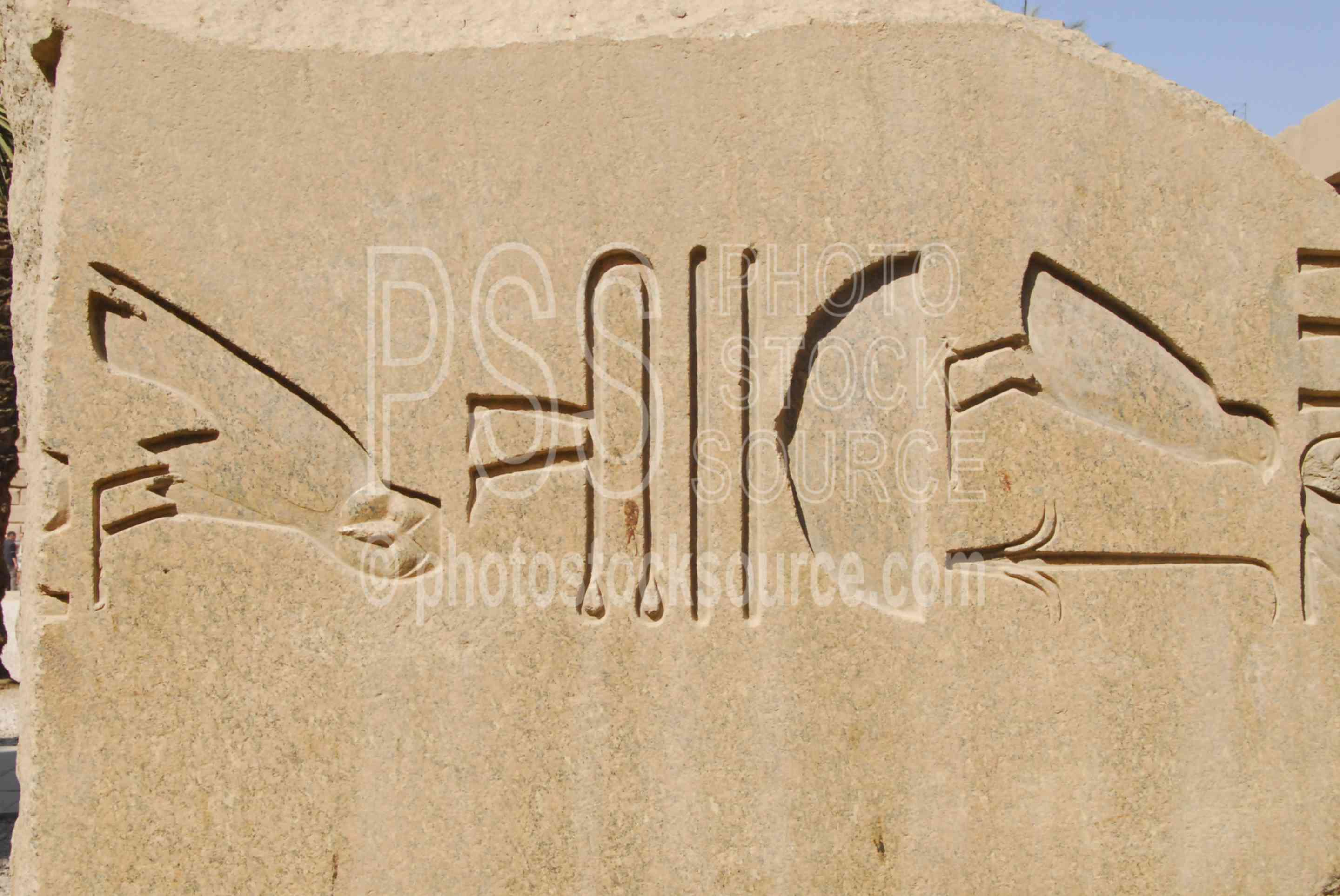 Is the nile river freshwater picture