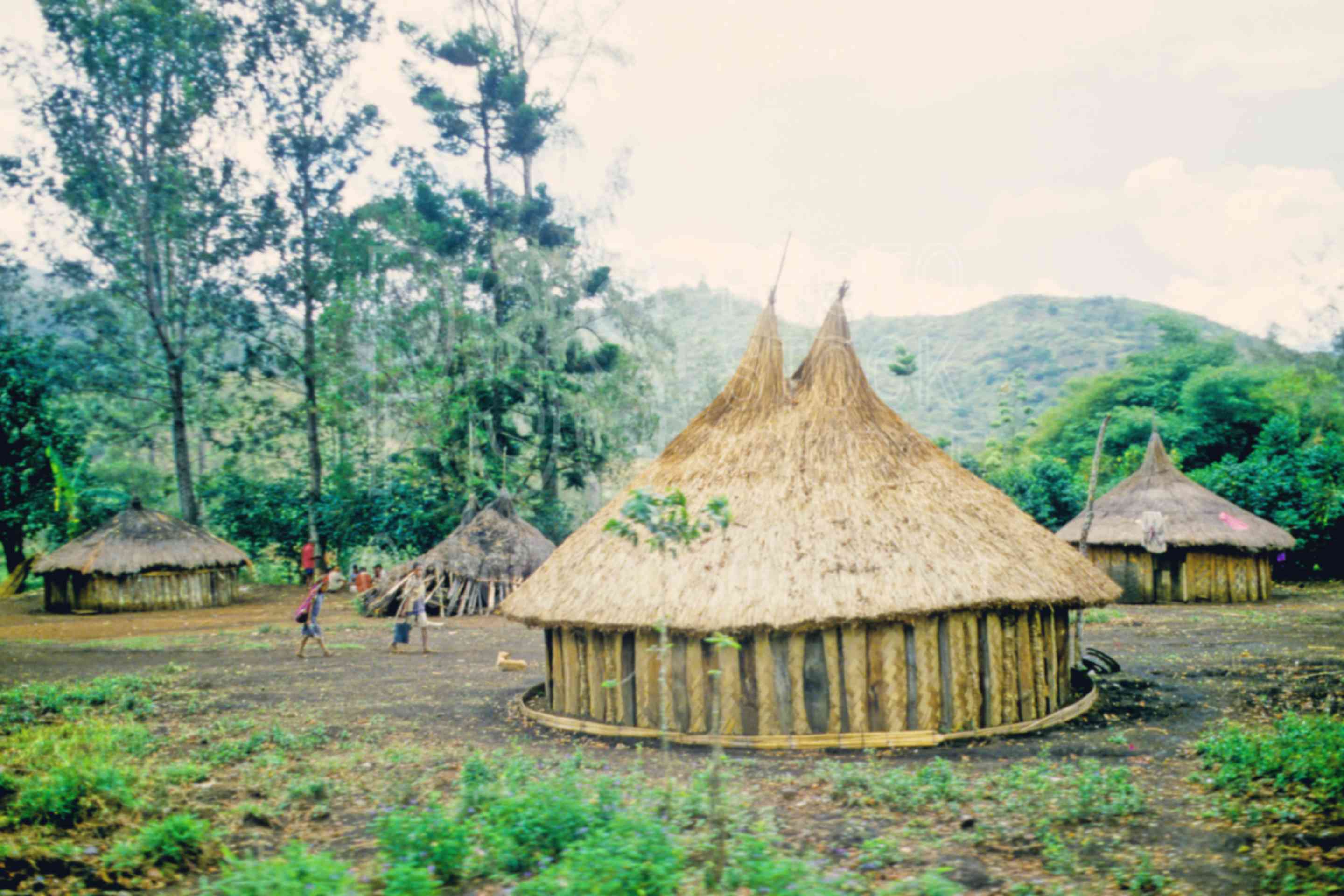 Photo of Round Huts by Photo Stock Source village, Asaro Village