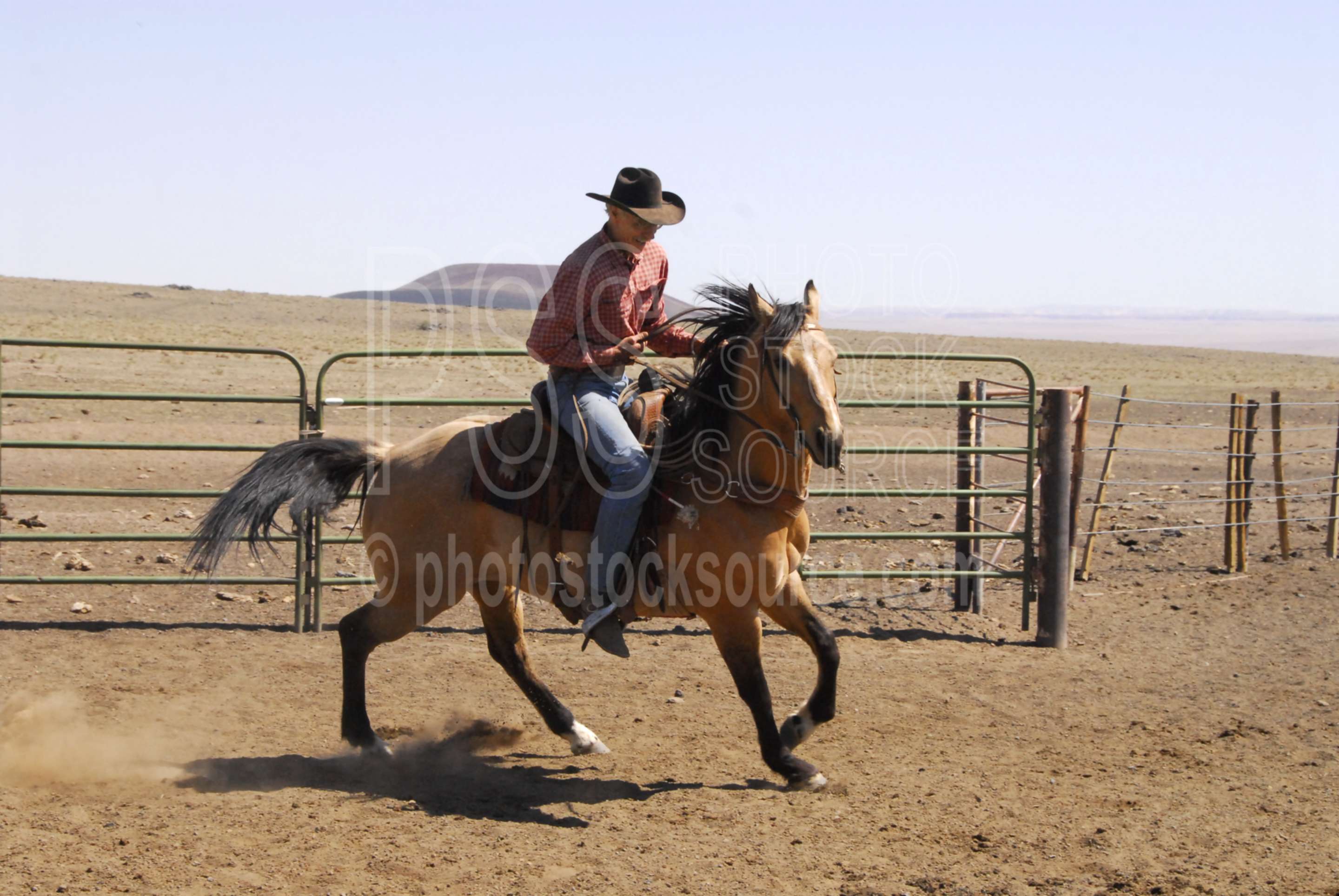Cowboys Riding Horse,cowboy,walking cane ranch,cattle,riding,horse,barry