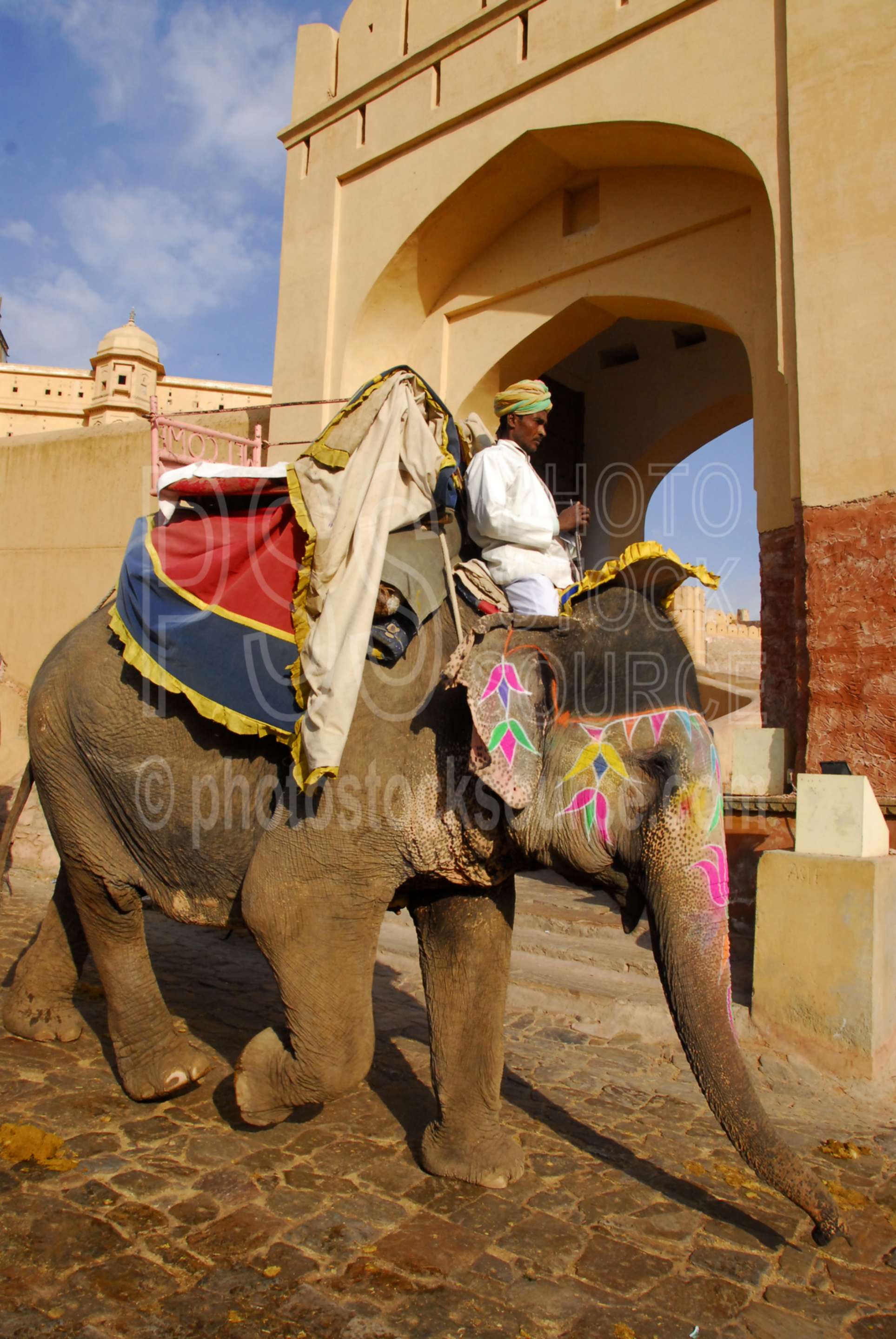 Amber Fort Elephants,building,fort,historical,rides,elephants,animals