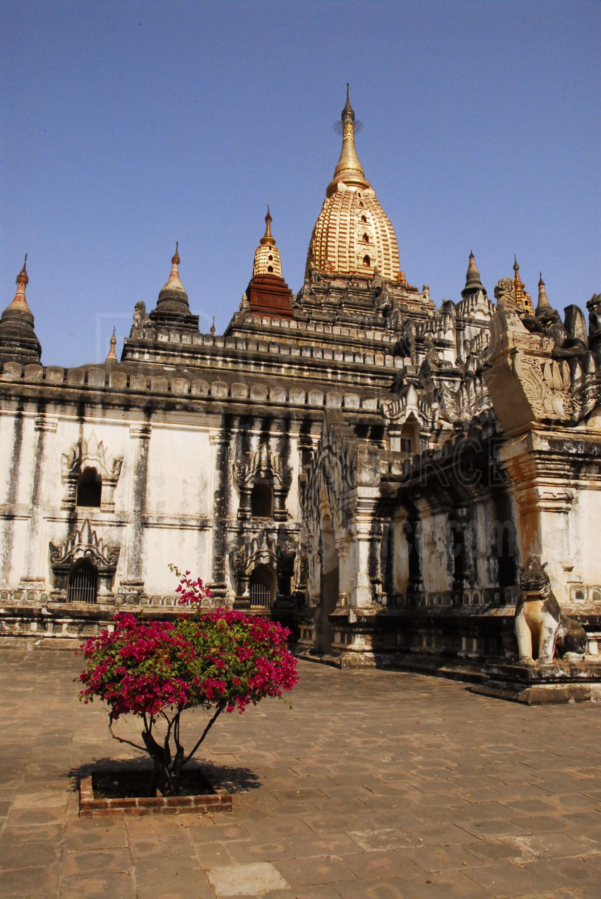 Ananda Pagoda Courtyard,myanmar,ananda,ananda pahto,paya,temple,pagoda,religion,temples,buddhism,religious,shrine,bougainvillea