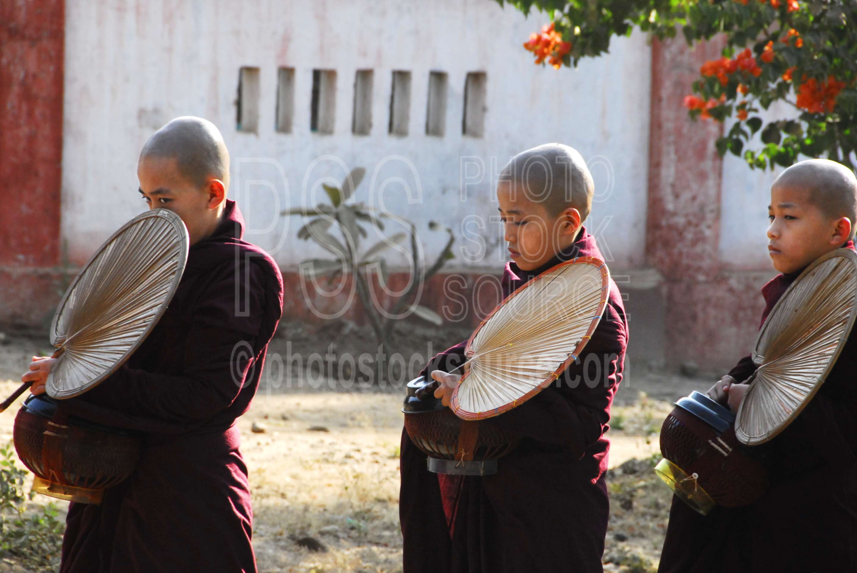 Monks Gathering Alms,myanmar,monks,devotion,alms,gathering,marching,walking,fans,praying,religious,buddhiist,buddhism