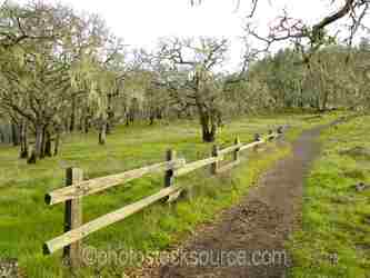 California Forests Parks gallery