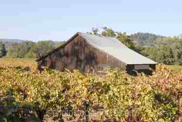 Sonoma Wineries gallery