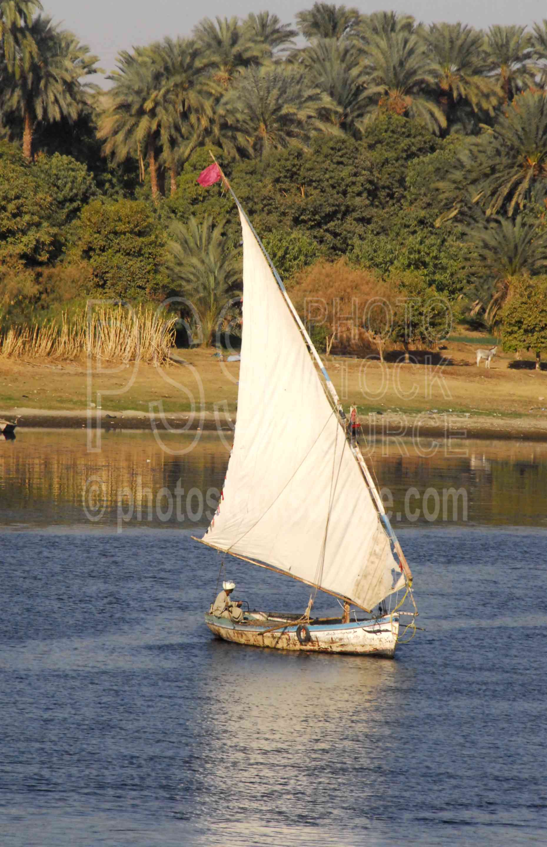 Felucca Sailing on Nile,nile,nile river,felucca,boat,sail boat,sailing,lakes rivers,boats
