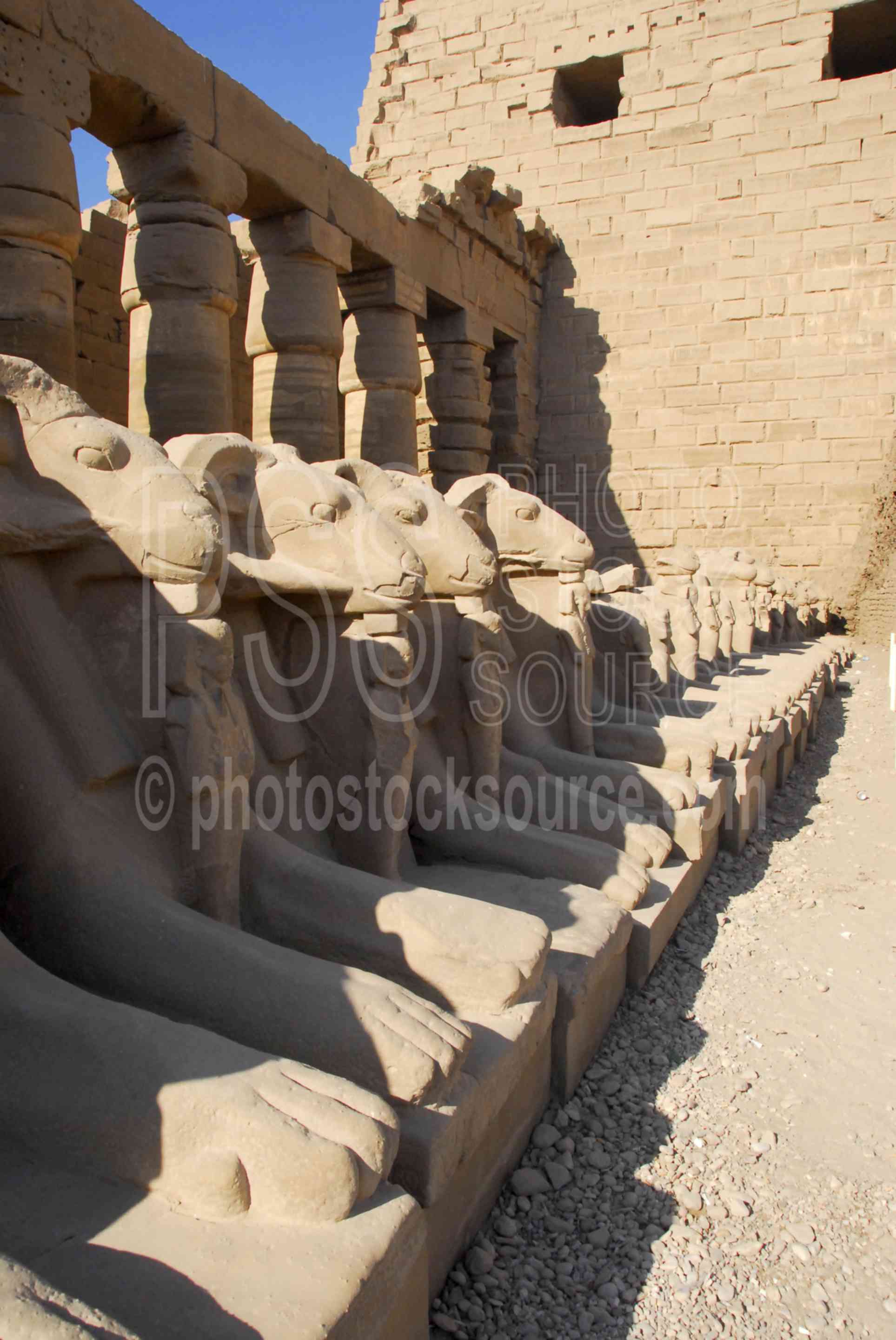 Ram Headed Sphinxes,temple,temple of amun,rameses,sphinx,ram,head,ram head,architecture,temples