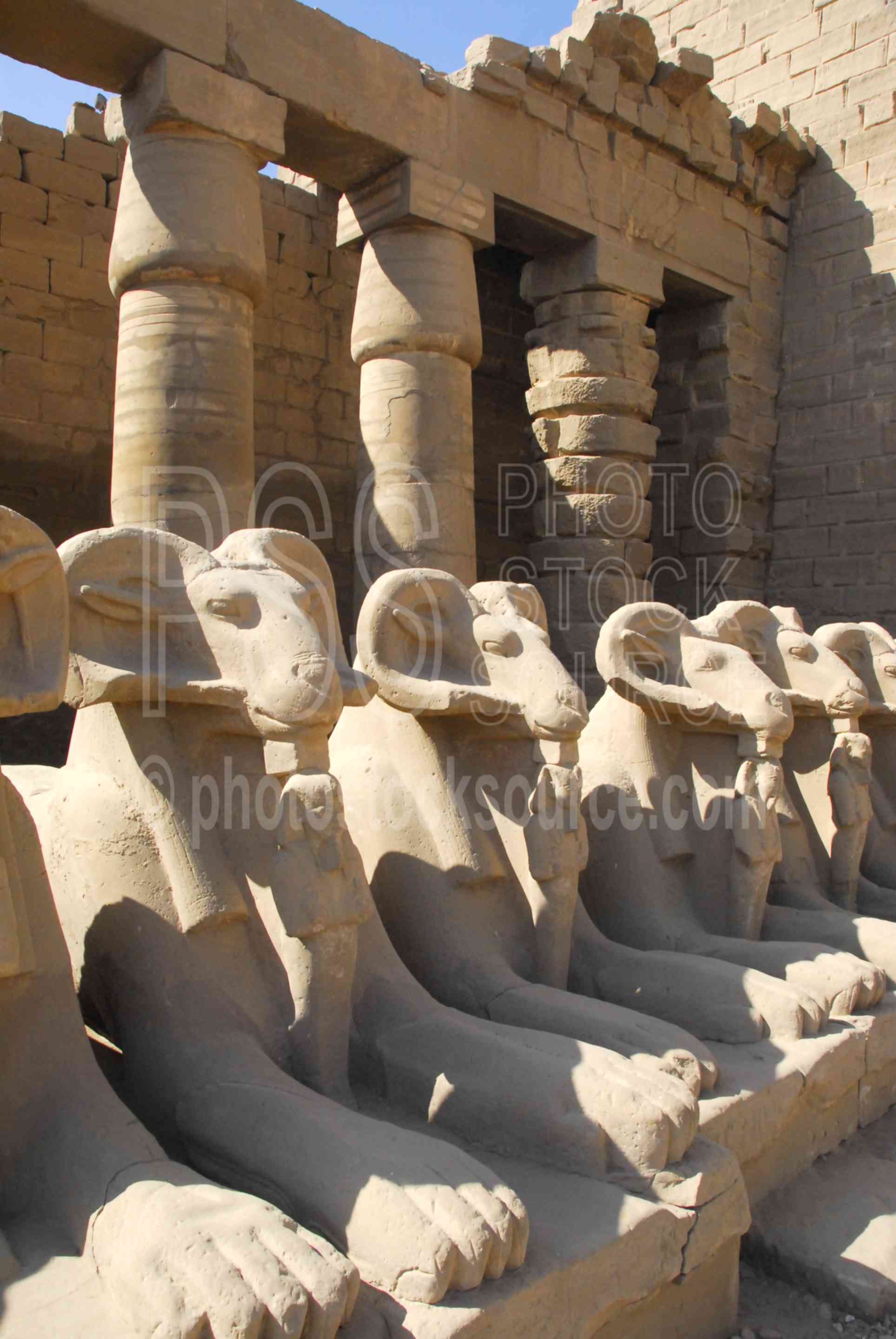 Ram-headed Sphinxes,temple,temple of amun,hieroglyphics,architecture,temples