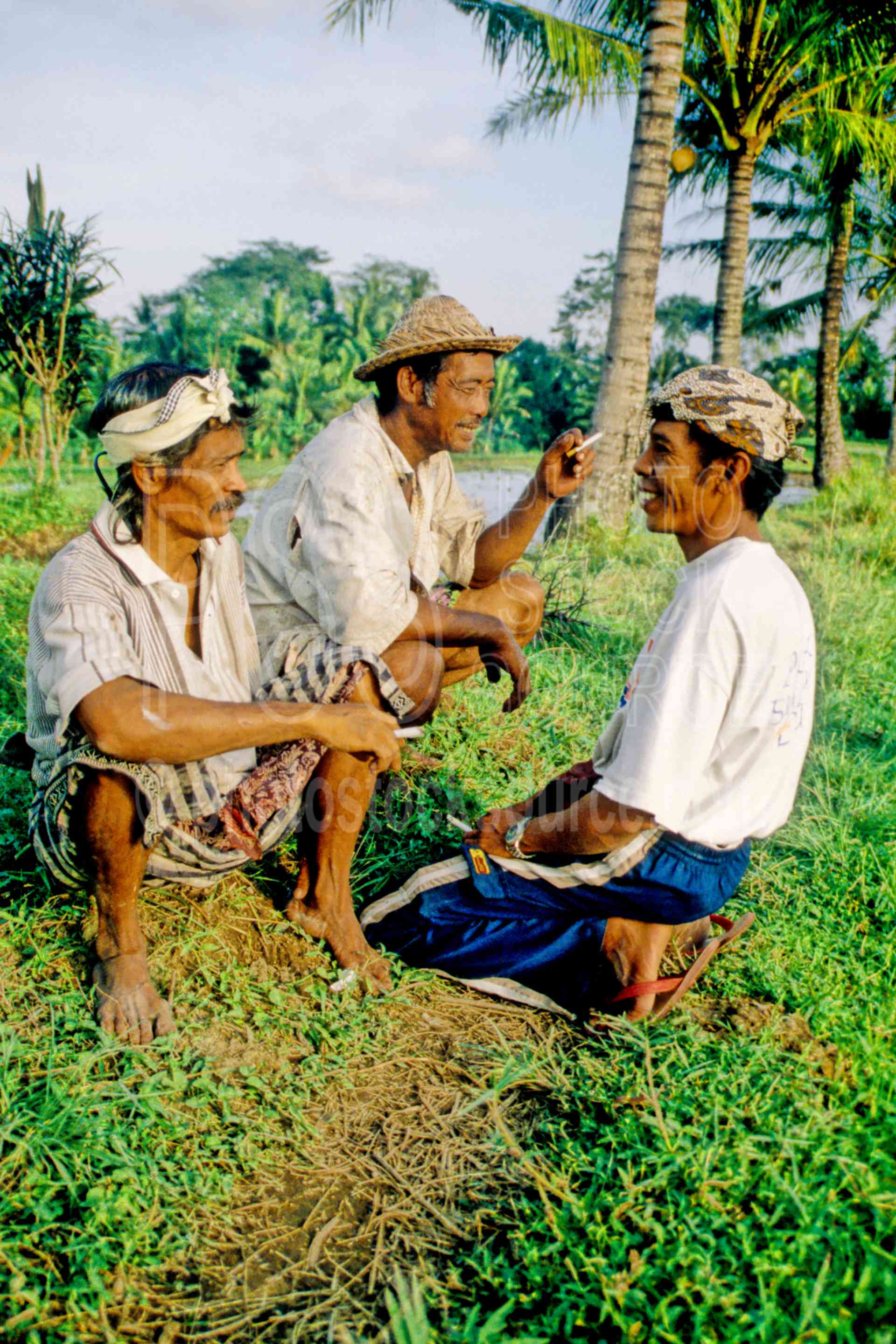 Rice Field Workers,farm,farmer,meeting,mens,resting,smoking,work,worker