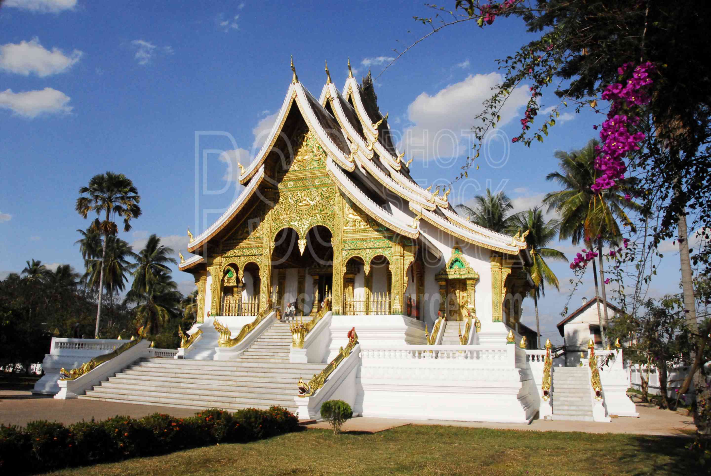 Wat Haw Pha Bang,temple,buddhist,buddhism,religious,wat,ho pha bang,bouganvillea,louang prabang