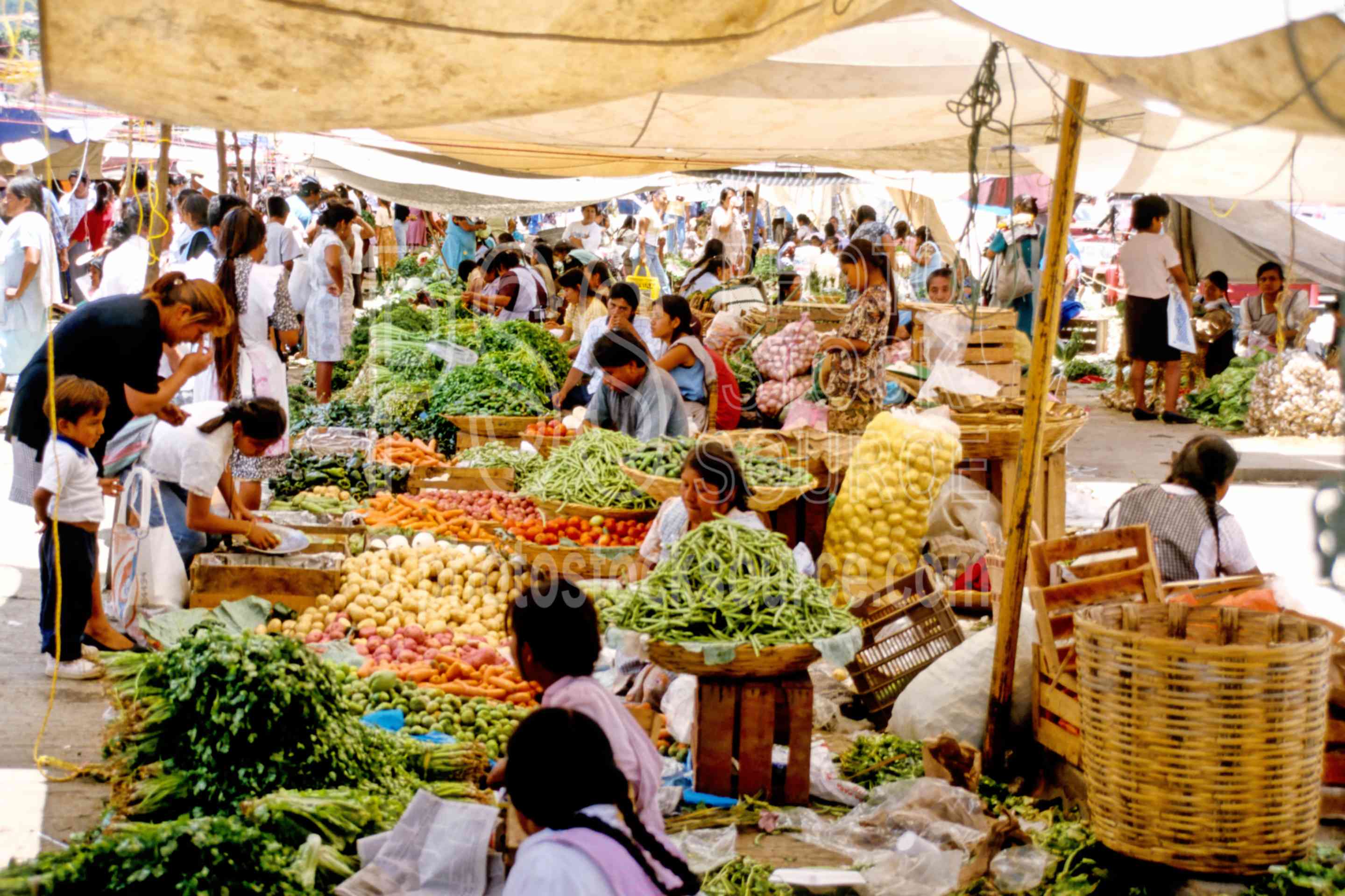 Mexican Markets Gallery