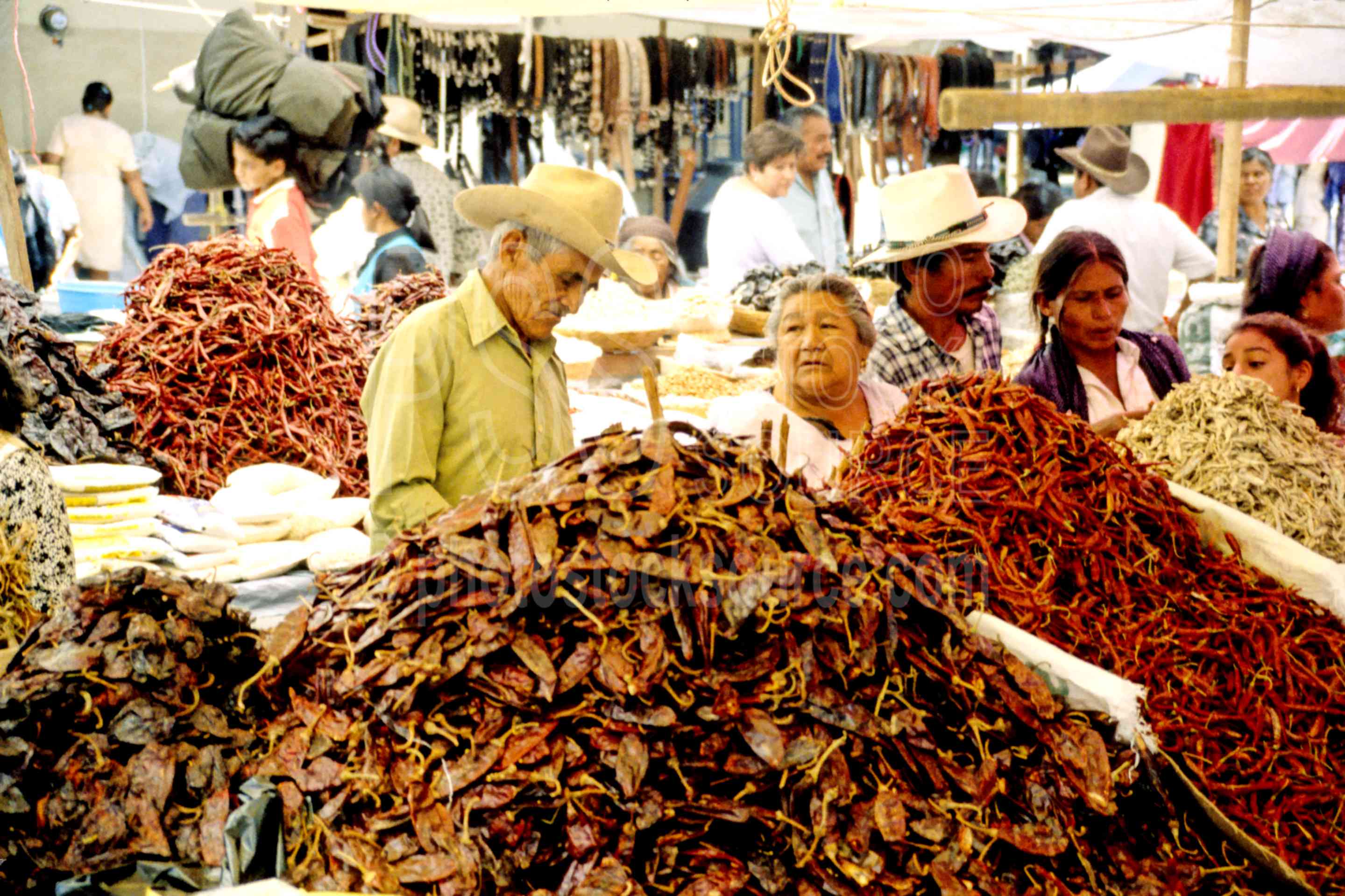 Chiles in the Market,chilies,market,mexico markets