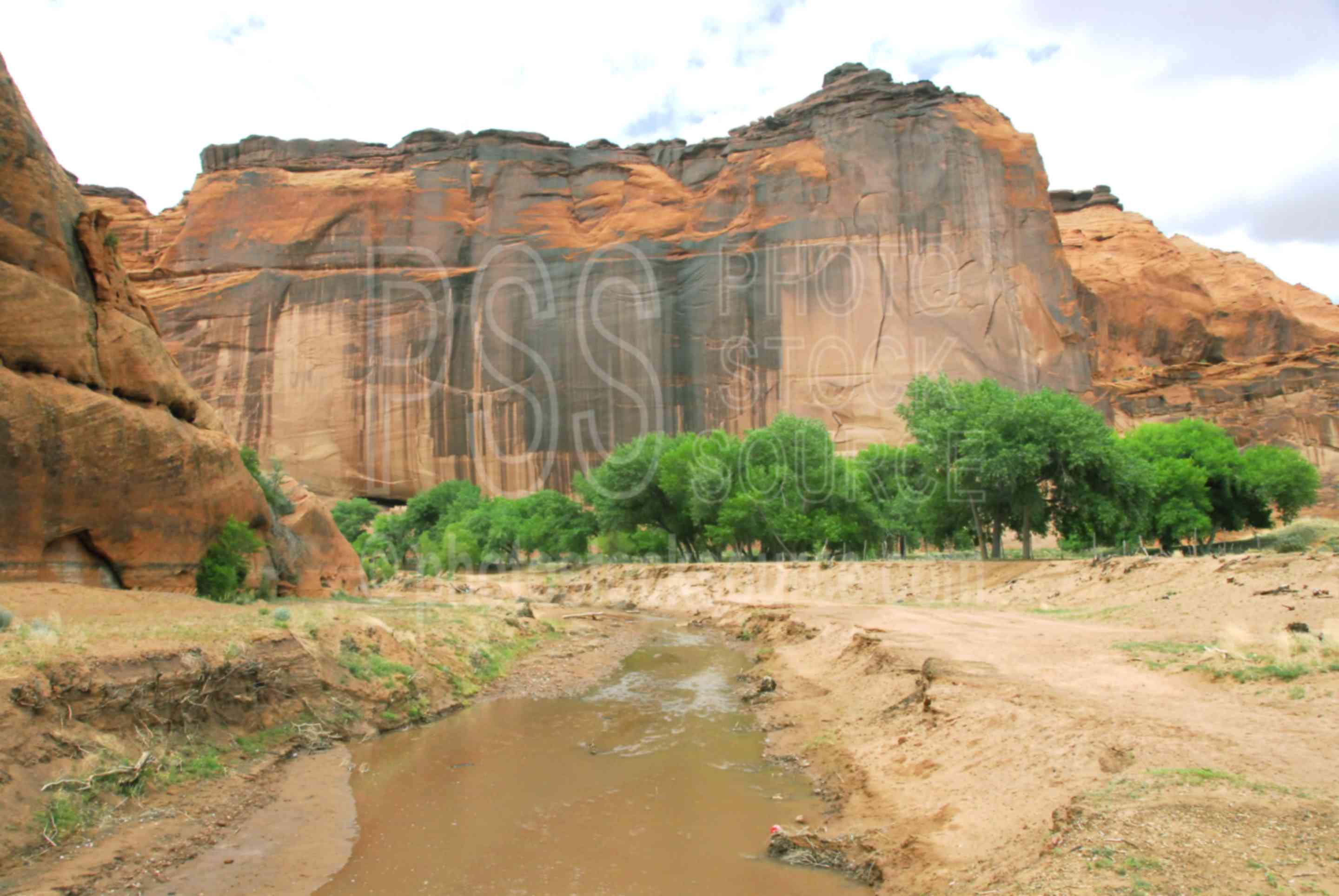 Chinle Wash,canyon,navajo,erosion,sandstone,creek,river,wash,water,native american