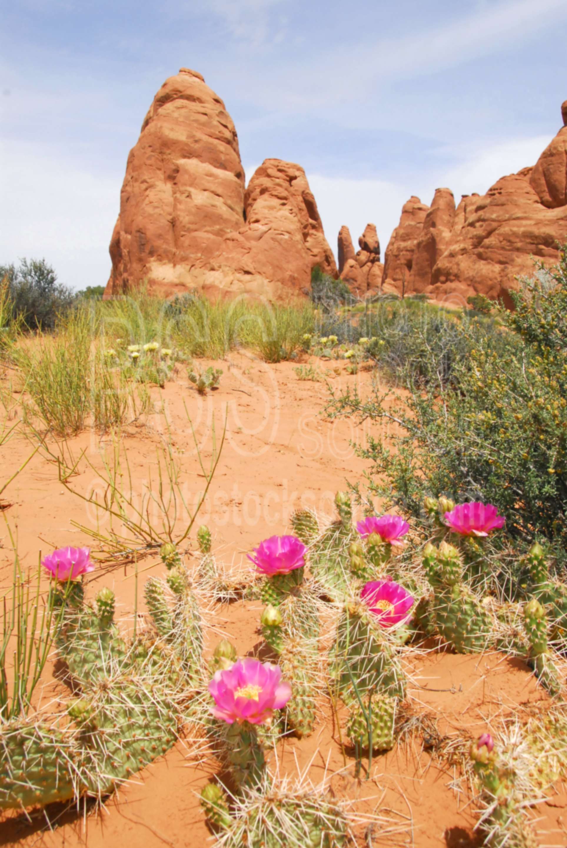 Arches National Park Gallery