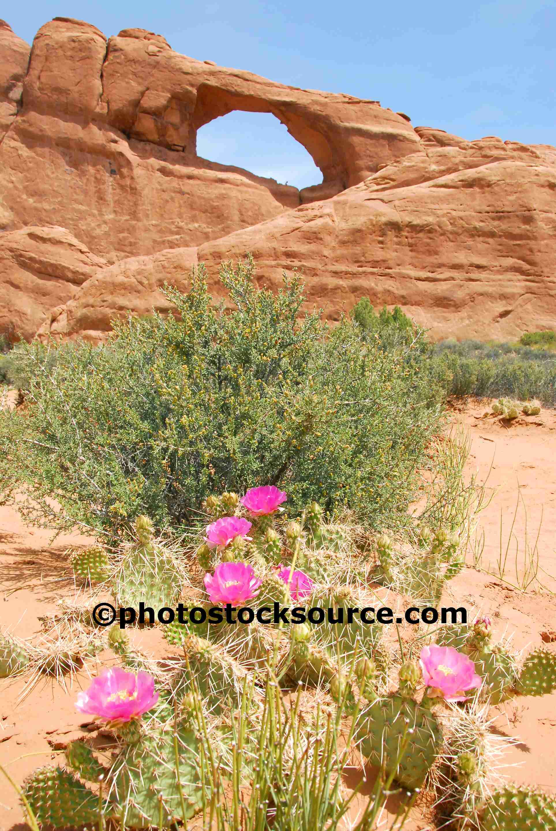 Arches National Park Gallery