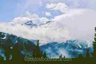Mt. Rainier National Park gallery