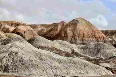 Petrified Forest Nat. Park gallery