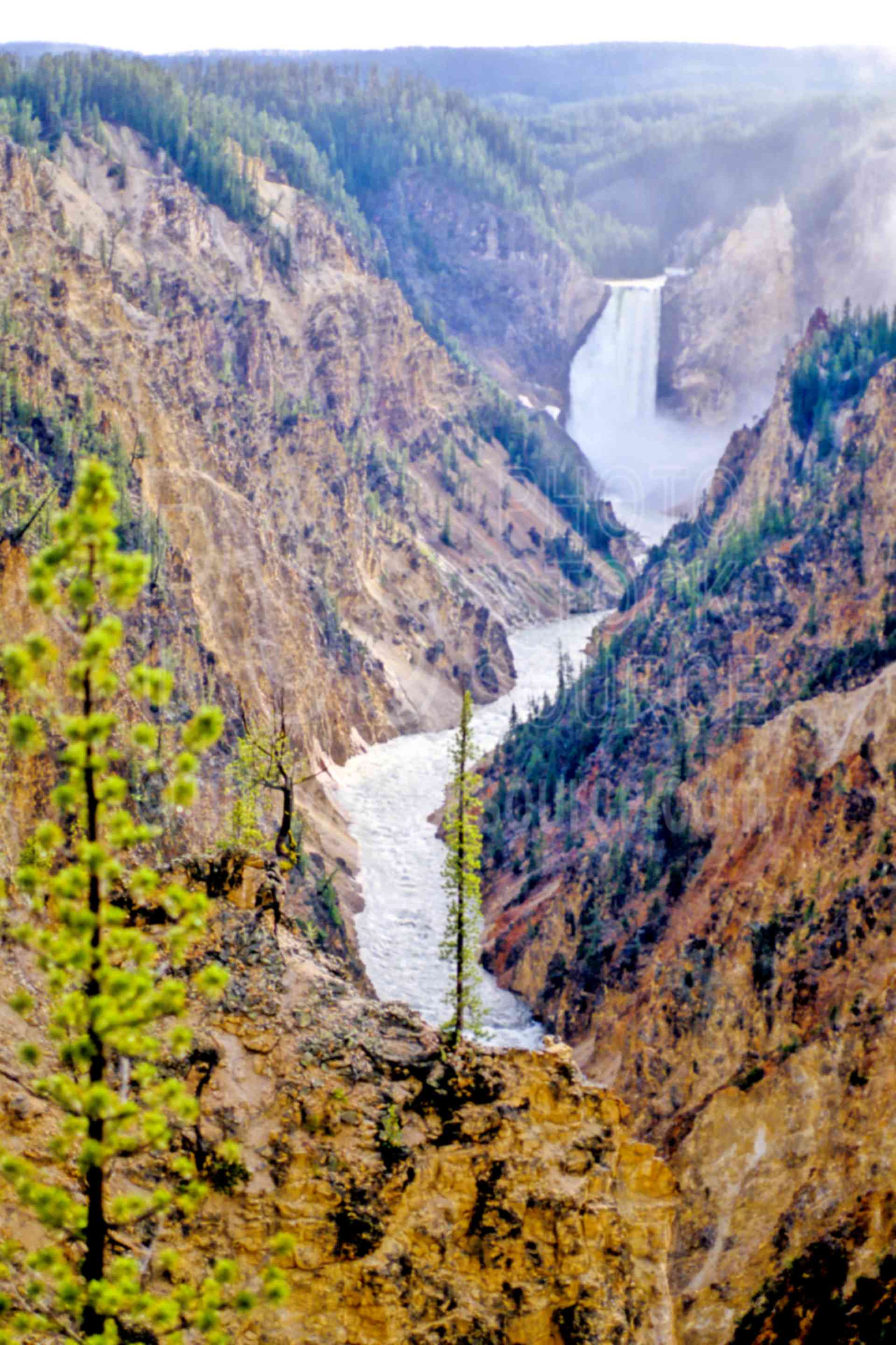 Upper Falls,yellowstone falls,usas,national park,nature,national parks,waterfalls