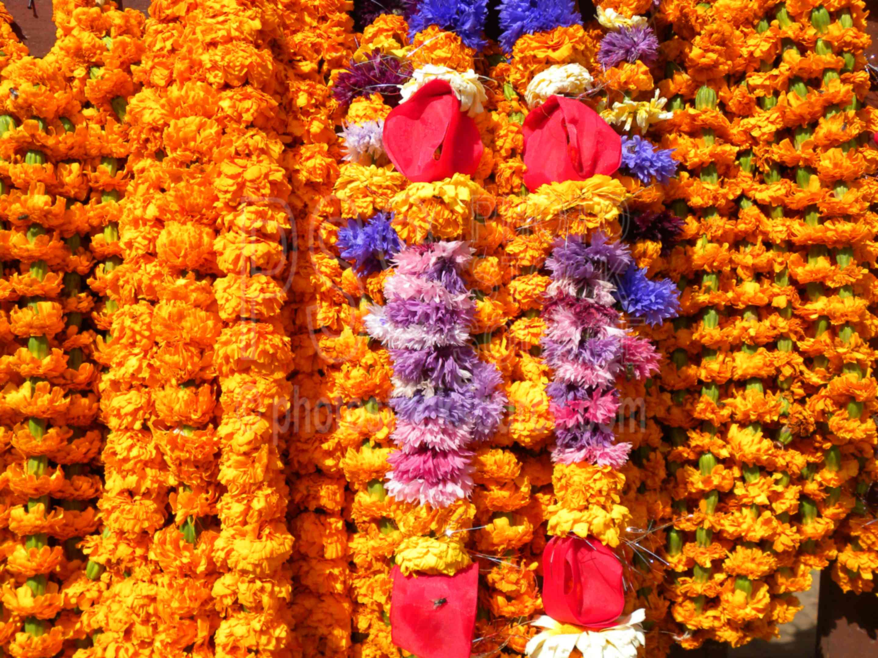 Ceremonial Flower Garlands,celebration,festival,colors,flowers,garlands,vendor,sale,temple,temples,plants