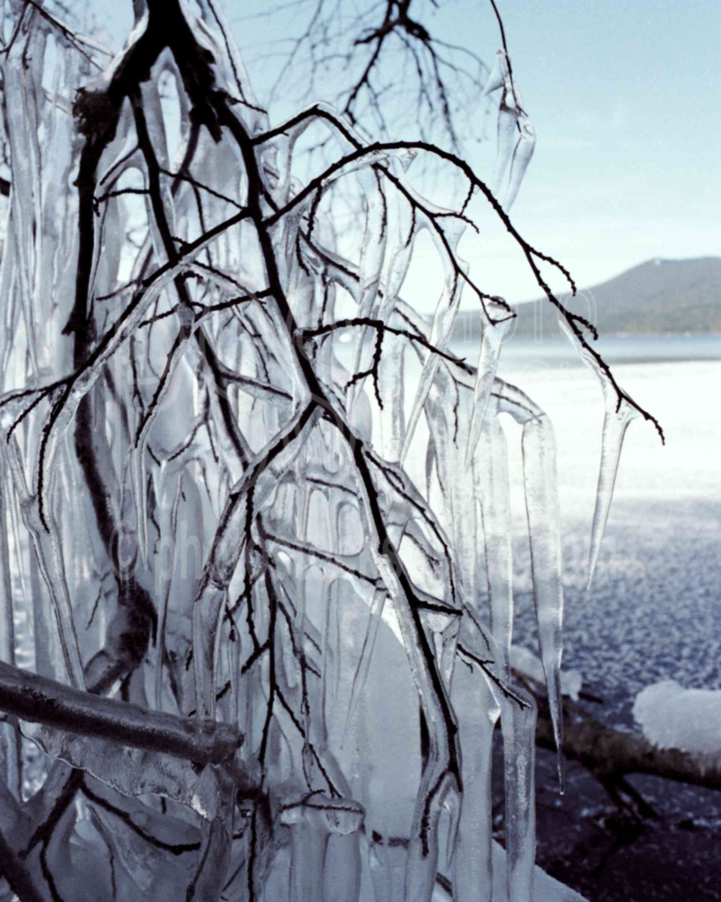 Icecycles,ices,icecycle,odell lake,usas,lakes rivers