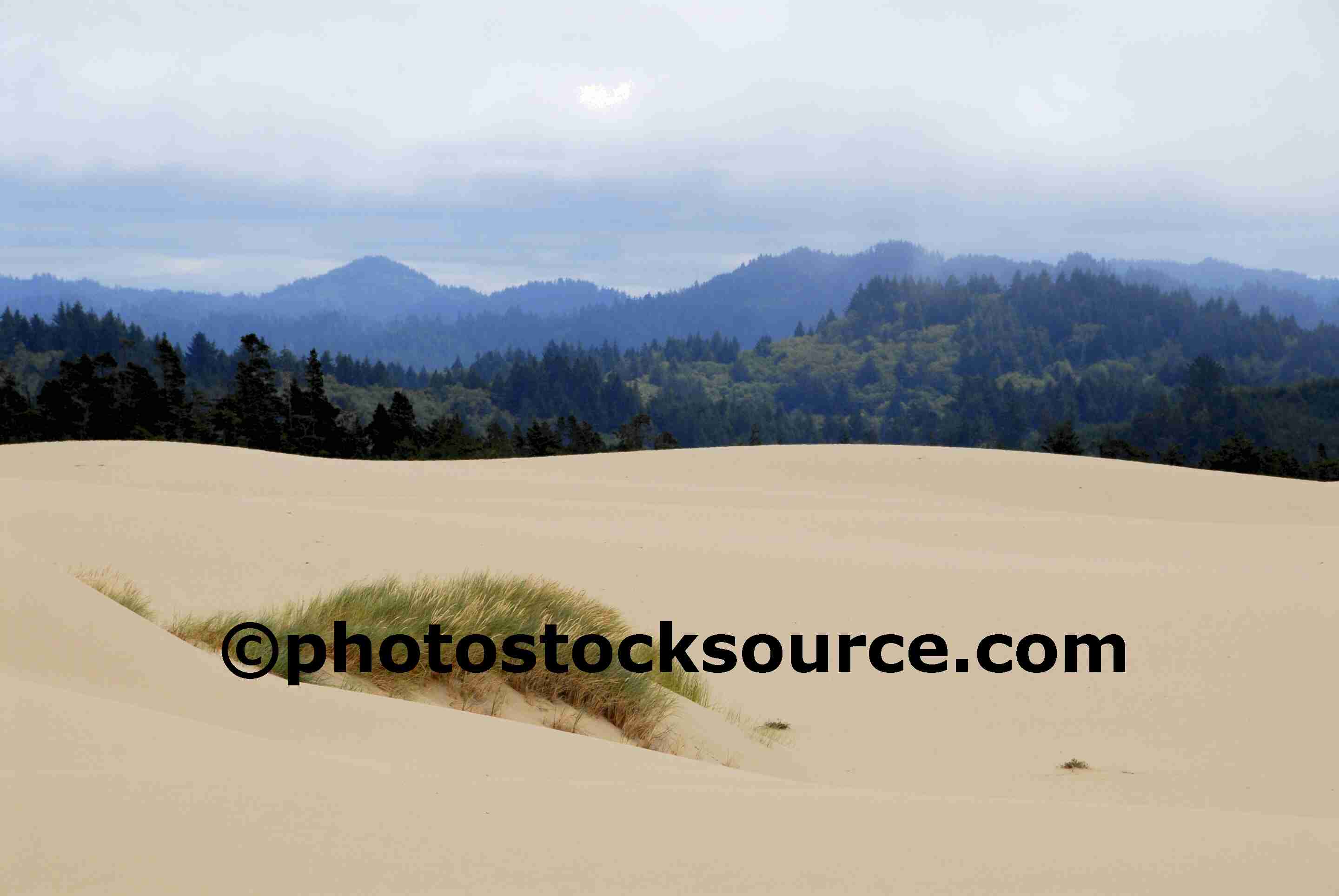 Oregon Sand Dunes Gallery