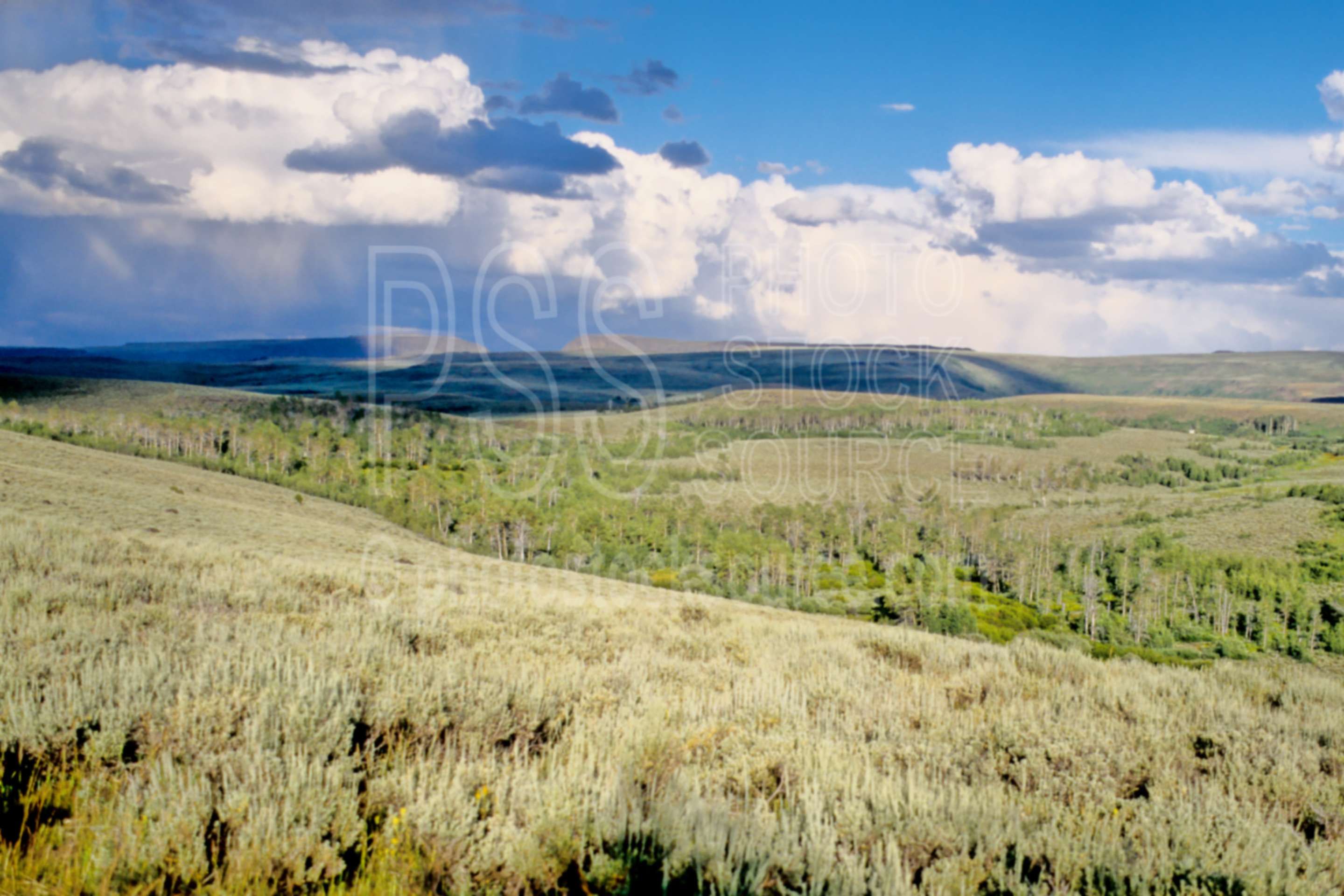 Steens Mountain Gallery