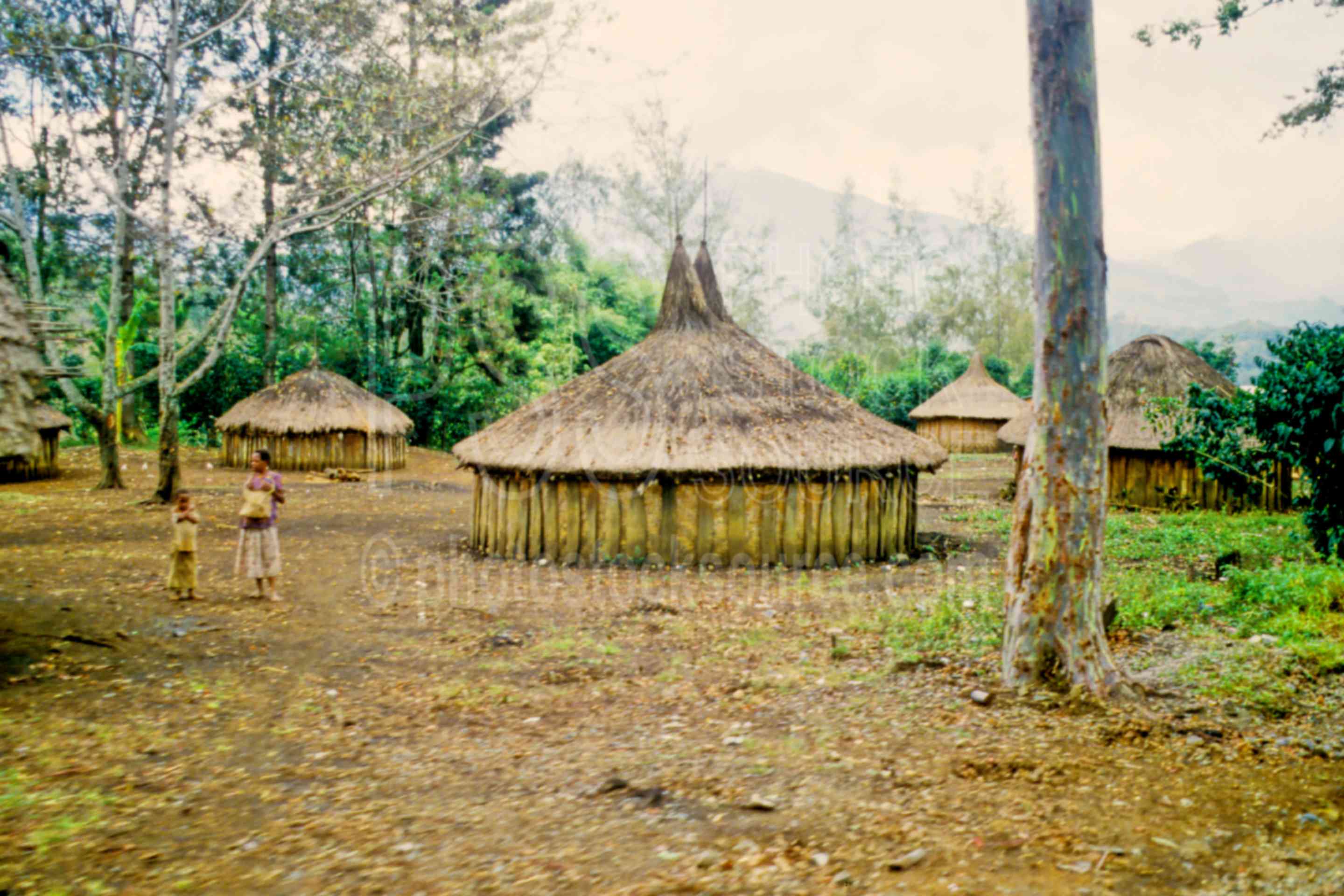 Round Huts,huts,home,house,villages