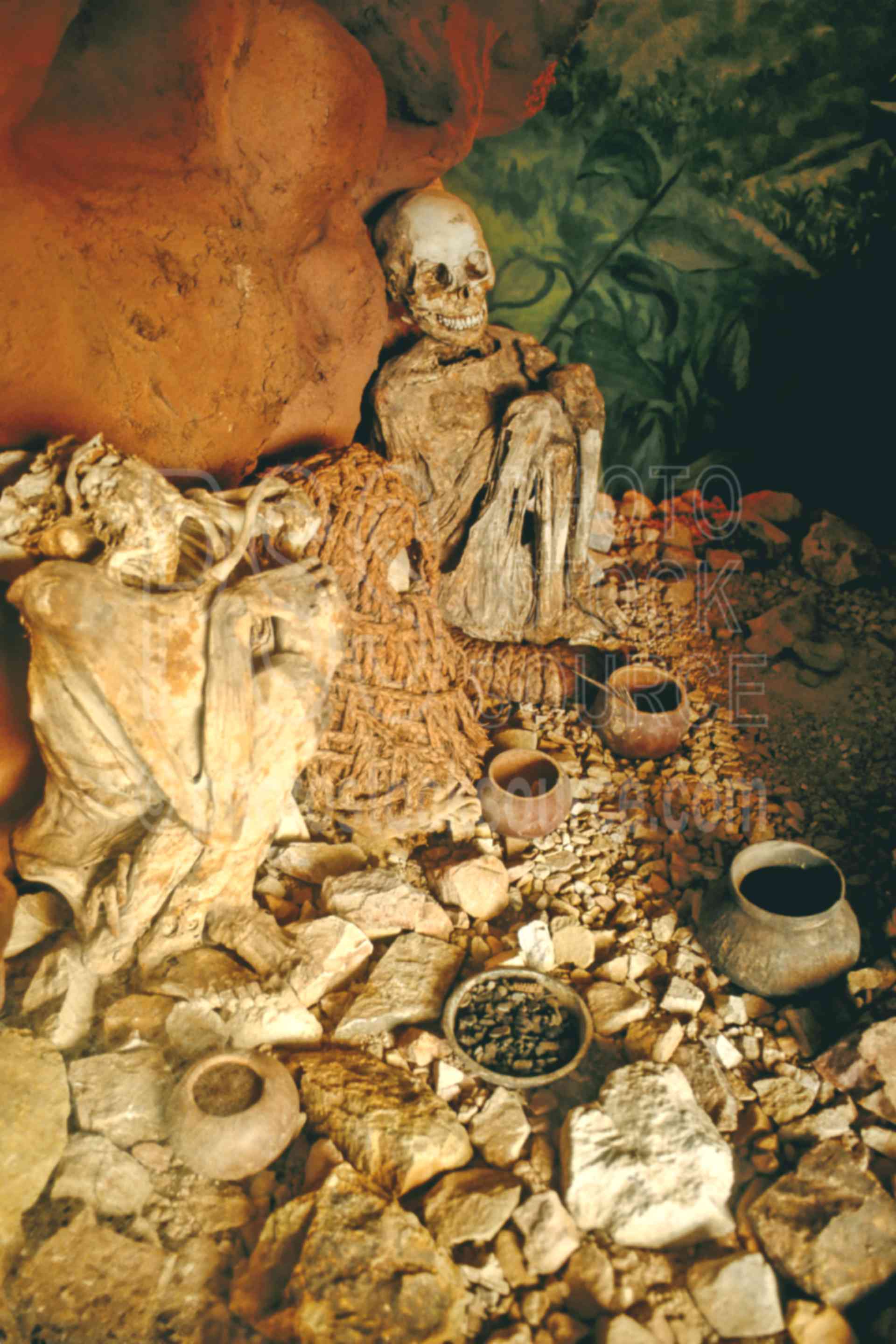 Ancient Burial,bone,burial,death,archaeology,museums