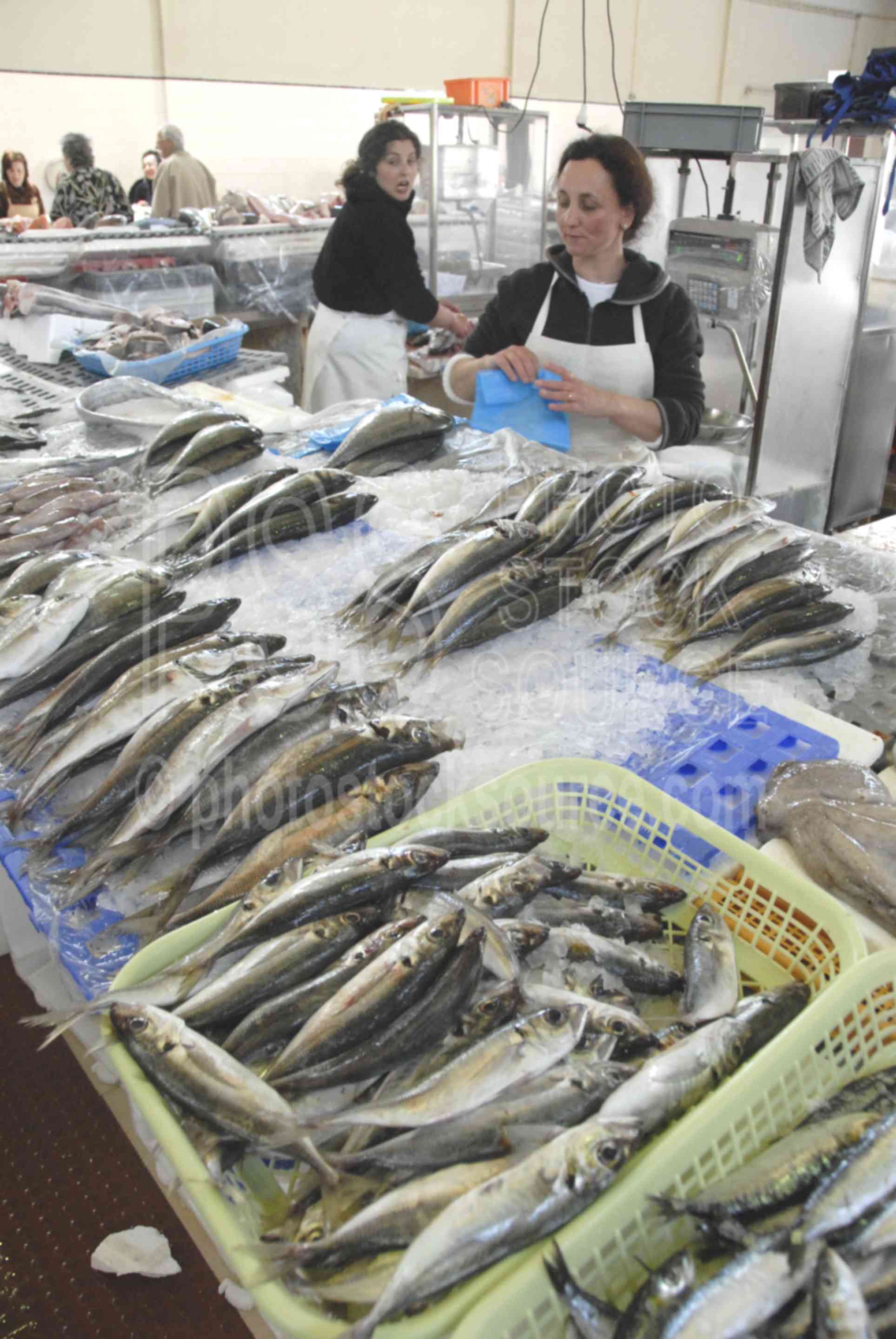 Fish Market,food,seller,vendor,mercado do peixe,woman,fish,fishmonger,markets